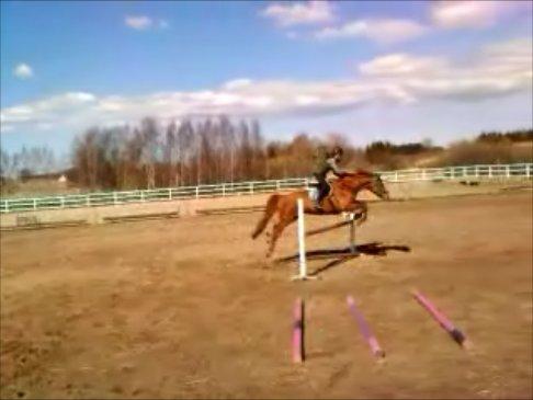 Dansk Varmblod Askemosens Marsia - 10. *Øjebliksbillede* 
Potten, let som en fjer over en meter billede 10