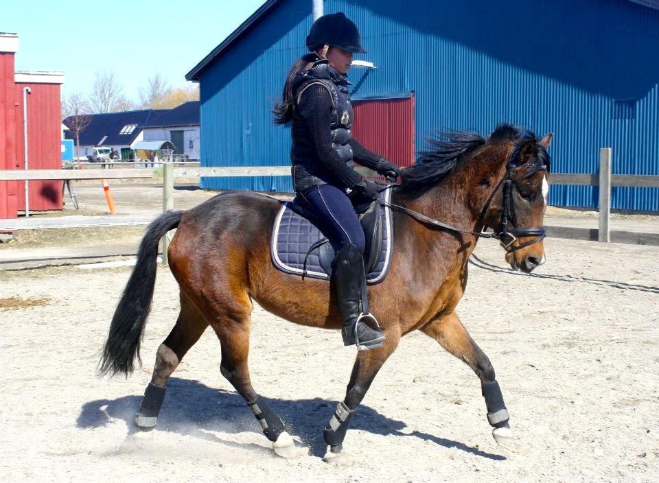 New Forest Silke Rock - Ikke tag jer af min belortede opstilling

Fotograf Olivia Mønsted billede 4