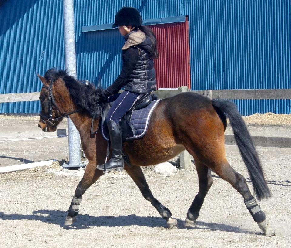 New Forest Silke Rock - Ikke tag jer af min belortede opstilling

Fotograf Olivia Mønsted billede 2