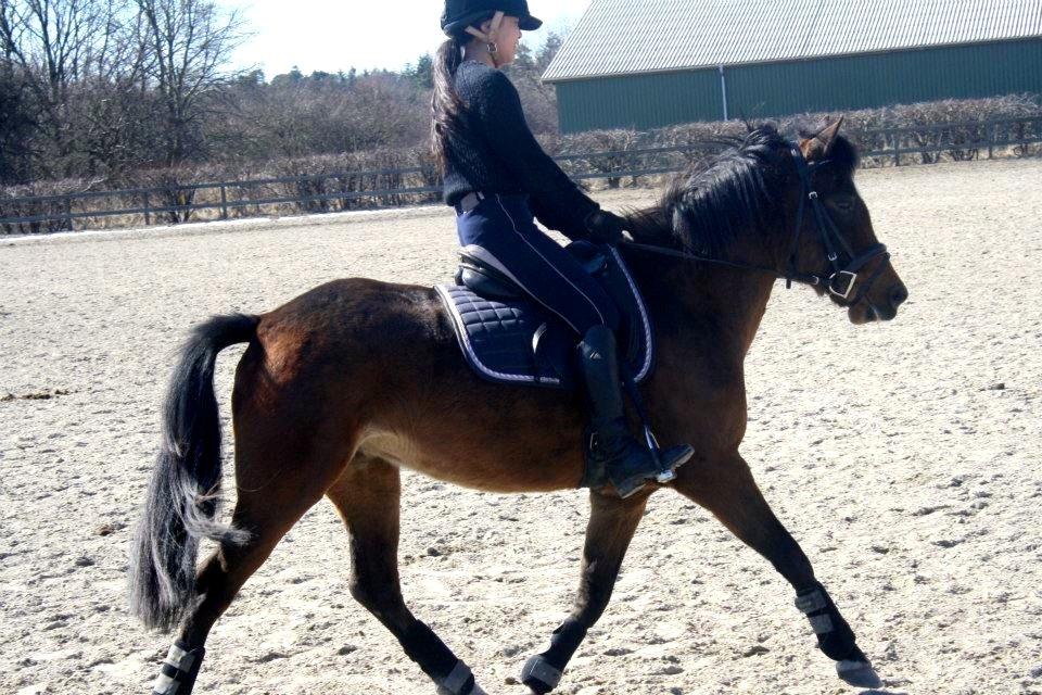 New Forest Silke Rock - Ikke tag jer af min belortede opstilling

Fotograf Olivia Mønsted billede 8