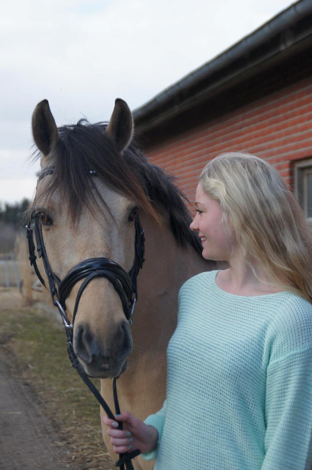 Anden særlig race Vangshøjs Baily <3 B-PONY - If I know what love is, it is because of you. <3 billede 1