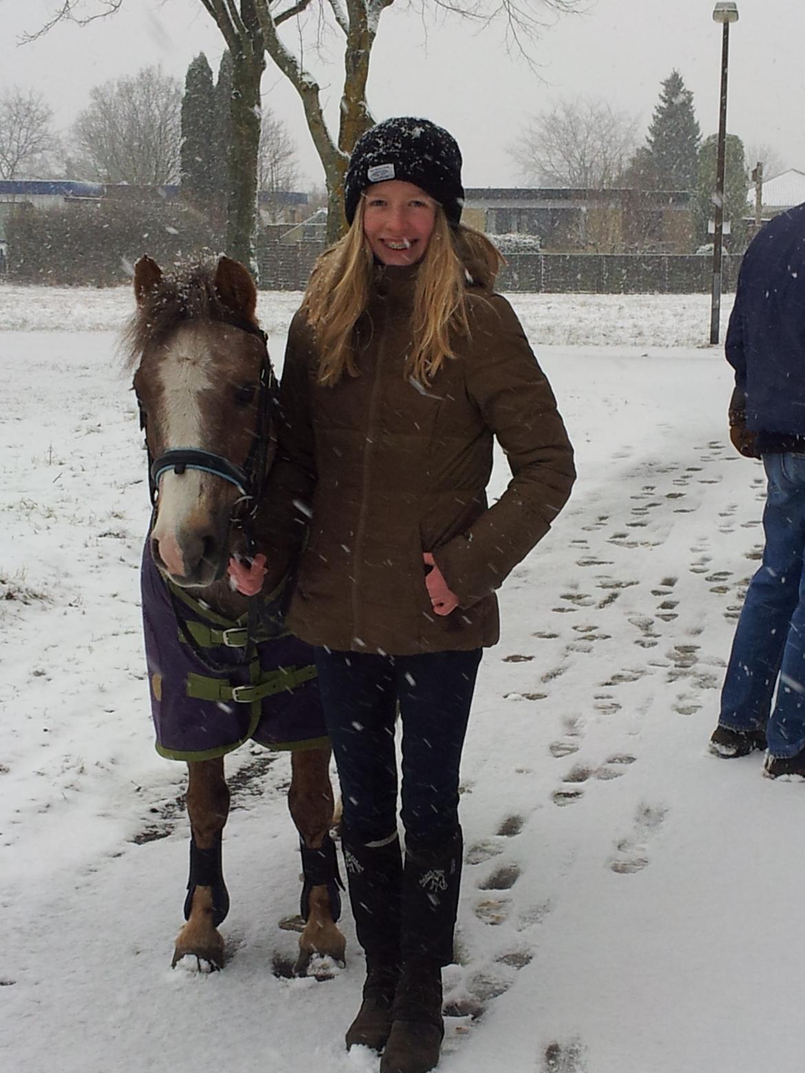 Dartmoor Skovbrynets Bastjan billede 13