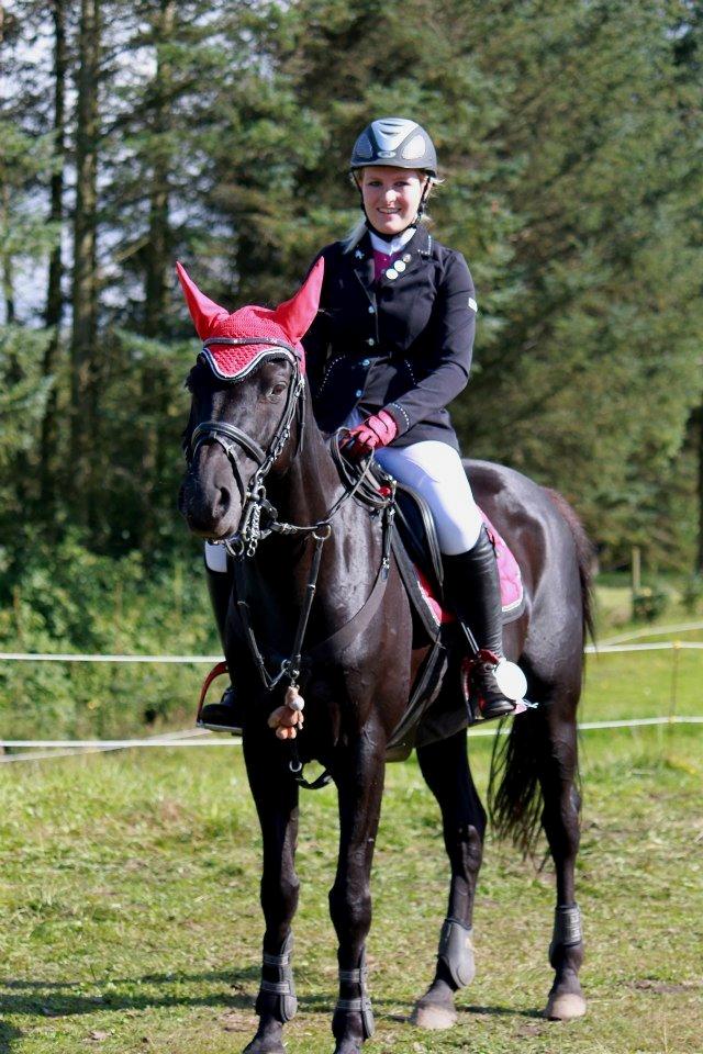 Welsh Pony af Cob-type (sec C) Tabaluga 167 - Smukke Taba<3 billede 18