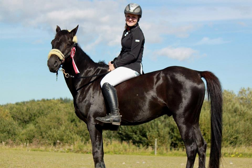 Welsh Pony af Cob-type (sec C) Tabaluga 167 - Har bare den smukkeste pony!!<3 billede 19
