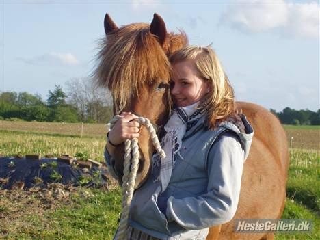 Islænder Ósk fra Bjerregaard [HIMMELHEST] - Os to <3 billede 8