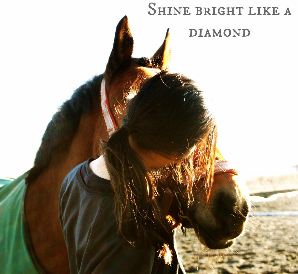 Anden særlig race Minnie billede 18