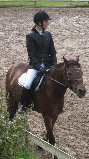 Welsh Pony (sec B) Molly billede 2