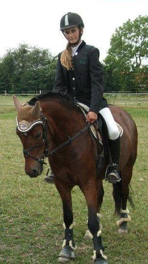 Welsh Pony (sec B) Molly billede 5