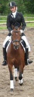 Welsh Pony (sec B) Molly billede 7