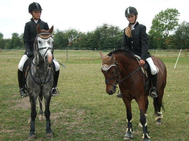 Welsh Pony (sec B) Molly billede 13