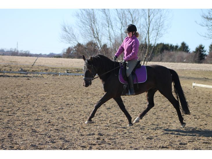 {{currentPhoto.altText}} billede {{currentPhoto.number}}