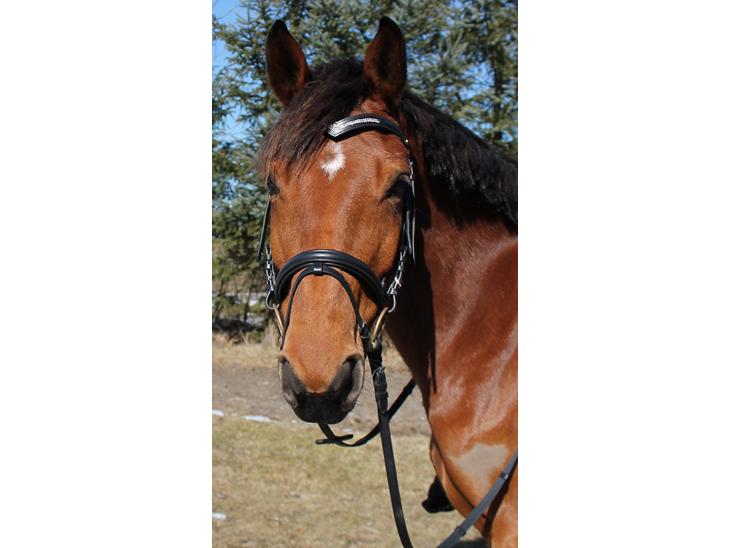 {{currentPhoto.altText}} billede {{currentPhoto.number}}