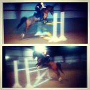 Anden særlig race freeman (fimse/gustav)