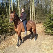 Anden særlig race Cassie