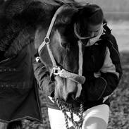 Traver Fit [med ejer]