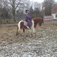 Anden særlig race Thea "solgt"