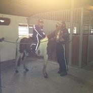 Anden særlig race Thea "solgt"