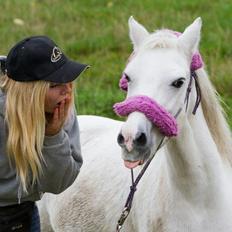 Welsh Mountain (sec A) Backerdales Gaia