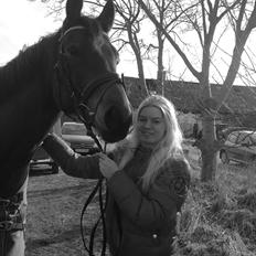 Pinto Krastrup's Impulz