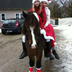 Islænder Isabella fra Snartartungu