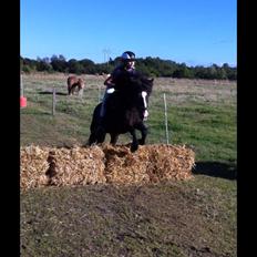 Islænder Isabella fra Snartartungu