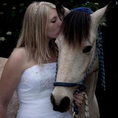 Anden særlig race Poppelgårdens Don