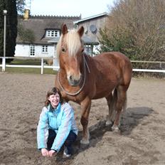Haflinger Monday Vanja R.I.P