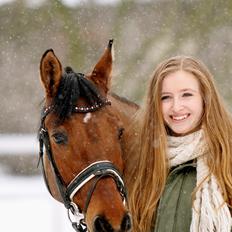 Tysk Sportspony HB Dreamgirl