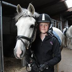 Hollandsk Sportspony V.P. Hestia