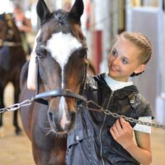 Anden særlig race Ponygårdens Mikkel Danmarksmester x 2 SOLGT