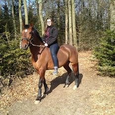 Anden særlig race Cassie