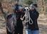 Fell pony Strandgaardens Black Jack - Smiiiiil Jack! :-)