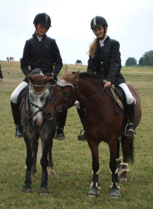 Welsh Pony (sec B) Molly billede 14