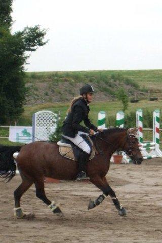 Welsh Pony (sec B) Molly billede 17