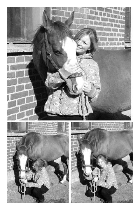 Paint Miss Dakota Salsa - Solgt billede 14