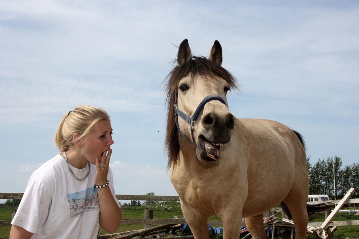 Anden særlig race Poppelgårdens Don billede 8