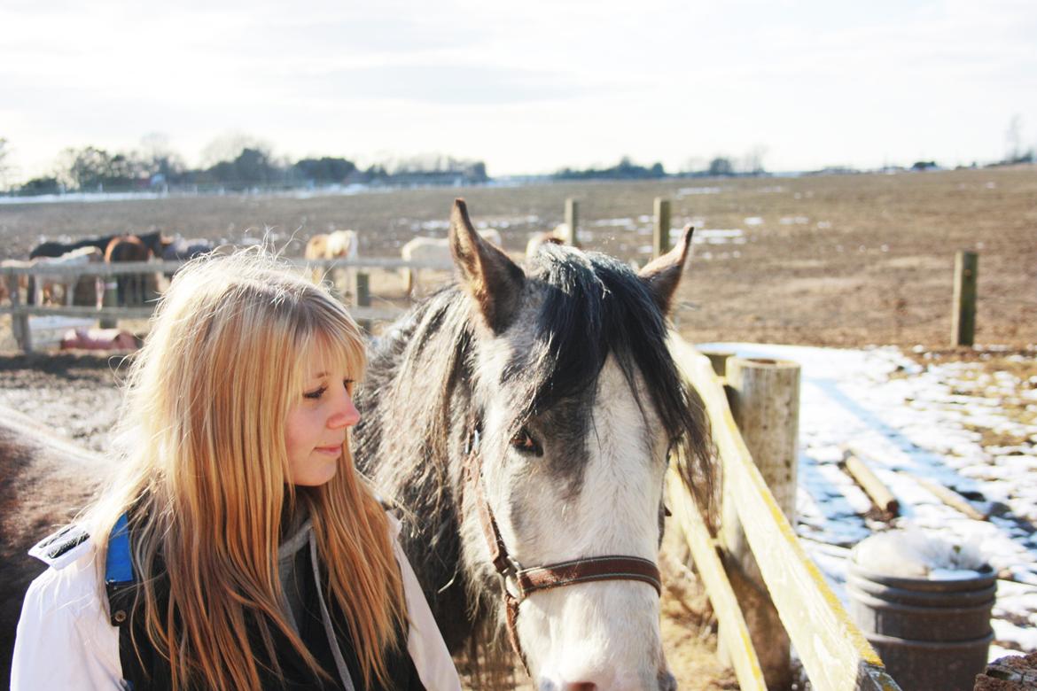 Anden særlig race Rolighedens Caruzo billede 20