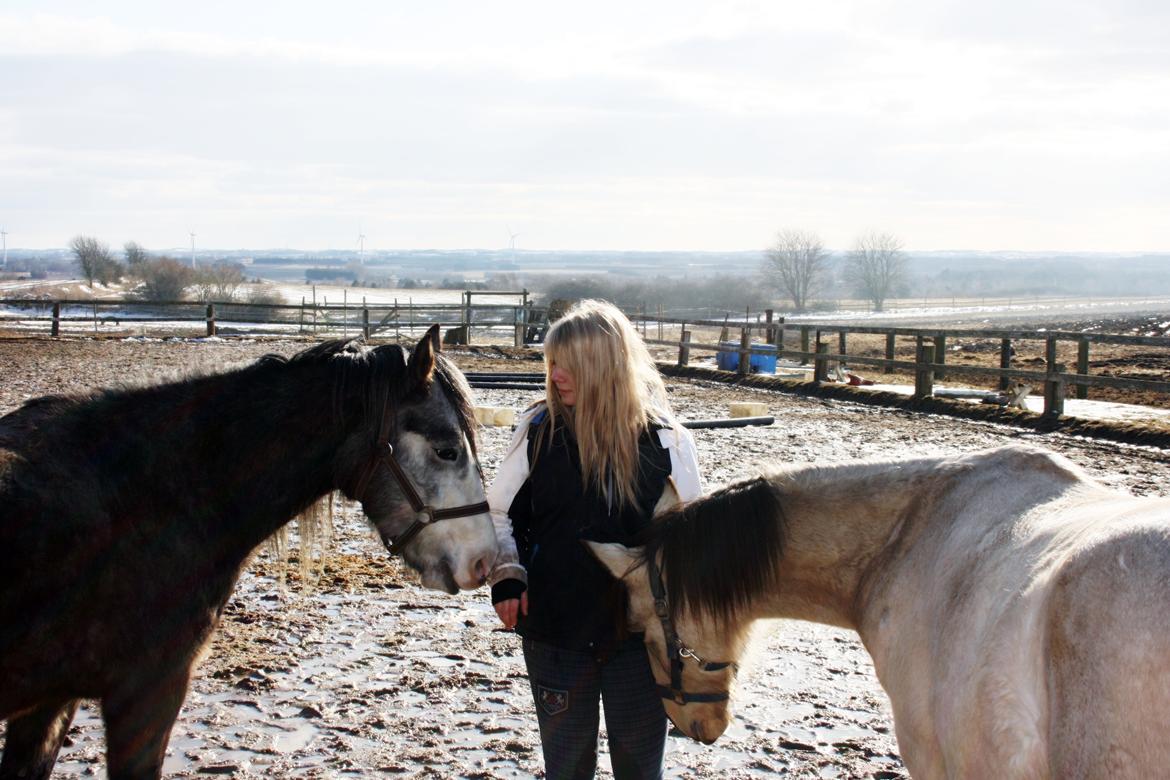 Anden særlig race Rolighedens Caruzo billede 5