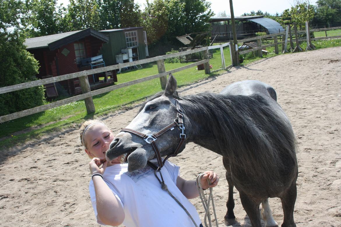 Anden særlig race Rolighedens Caruzo billede 11