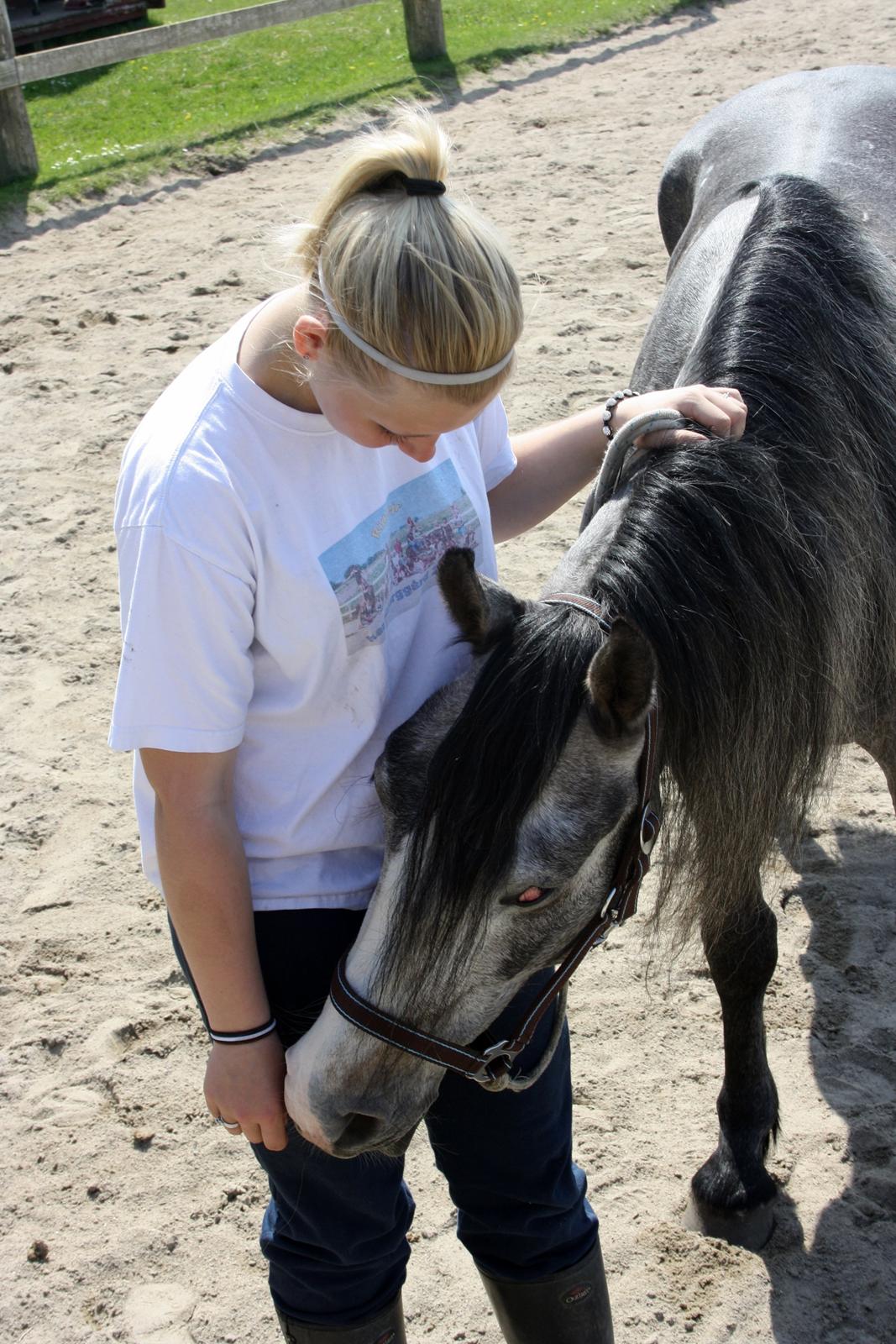 Anden særlig race Rolighedens Caruzo billede 13