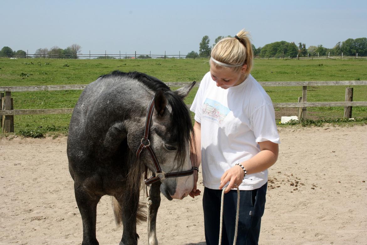 Anden særlig race Rolighedens Caruzo billede 10