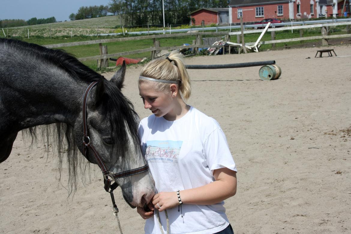 Anden særlig race Rolighedens Caruzo billede 16