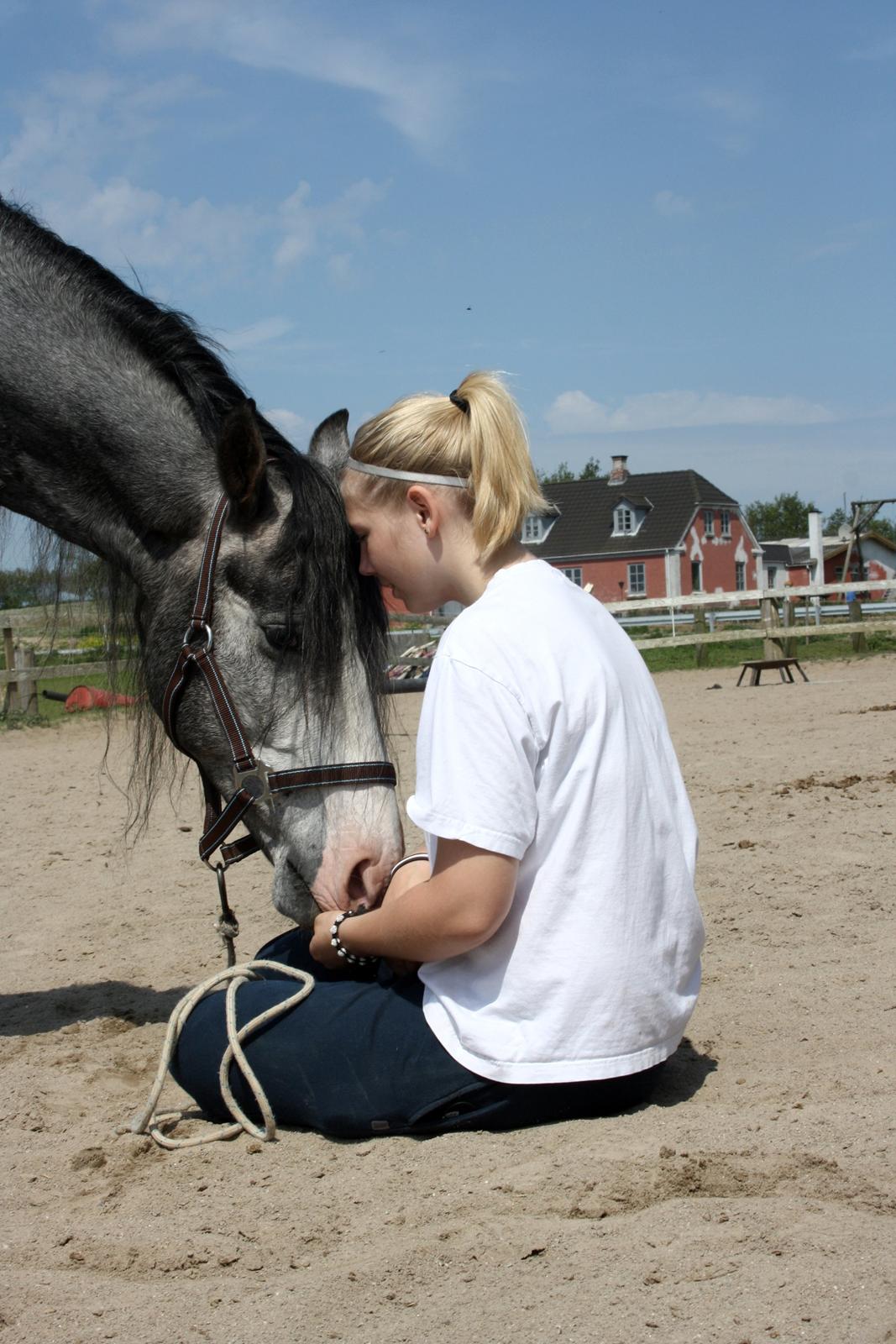 Anden særlig race Rolighedens Caruzo billede 19