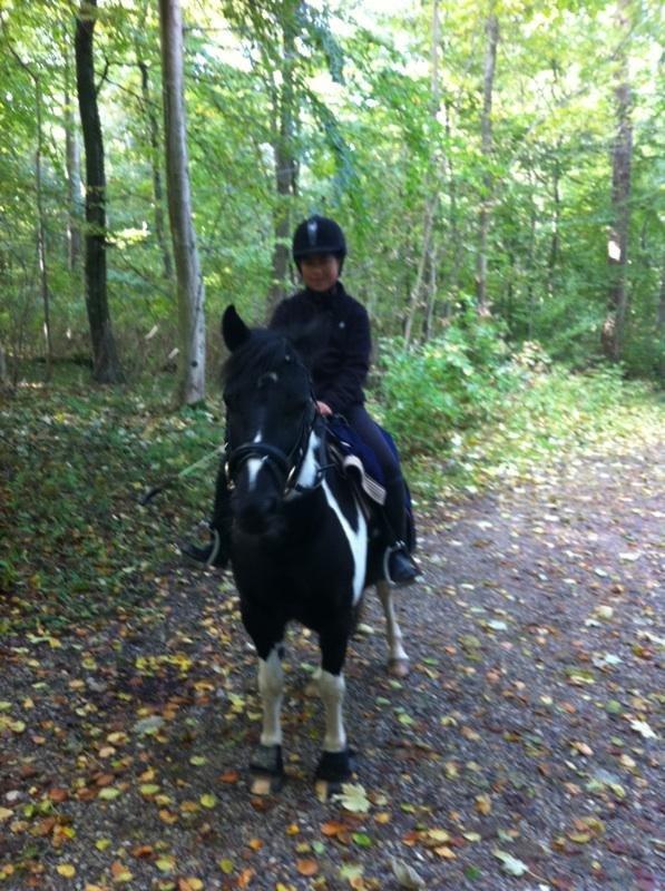 Anden særlig race Bonni billede 9