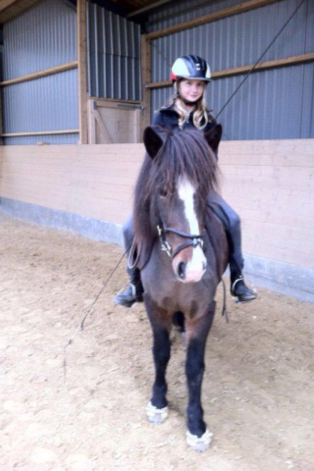 Islænder Isabella fra Snartartungu - smukke Bella med sin stolte ejer billede 4