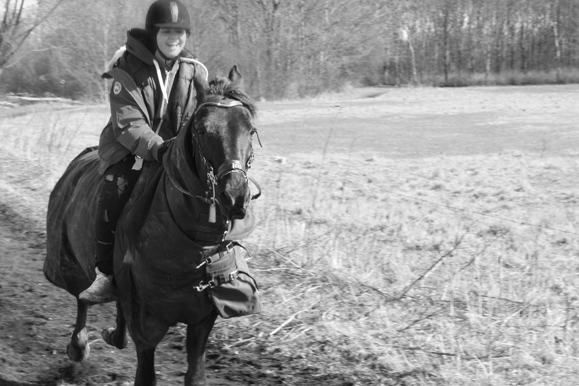 Traver Top gun (Himmelhest. Hvil i fred min engel) billede 9