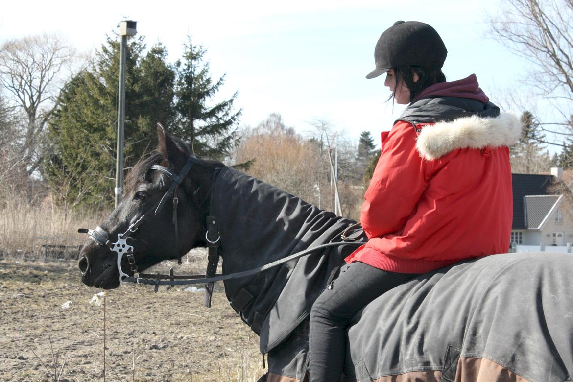 Traver Top gun (Himmelhest. Hvil i fred min engel) - My perfection. billede 10