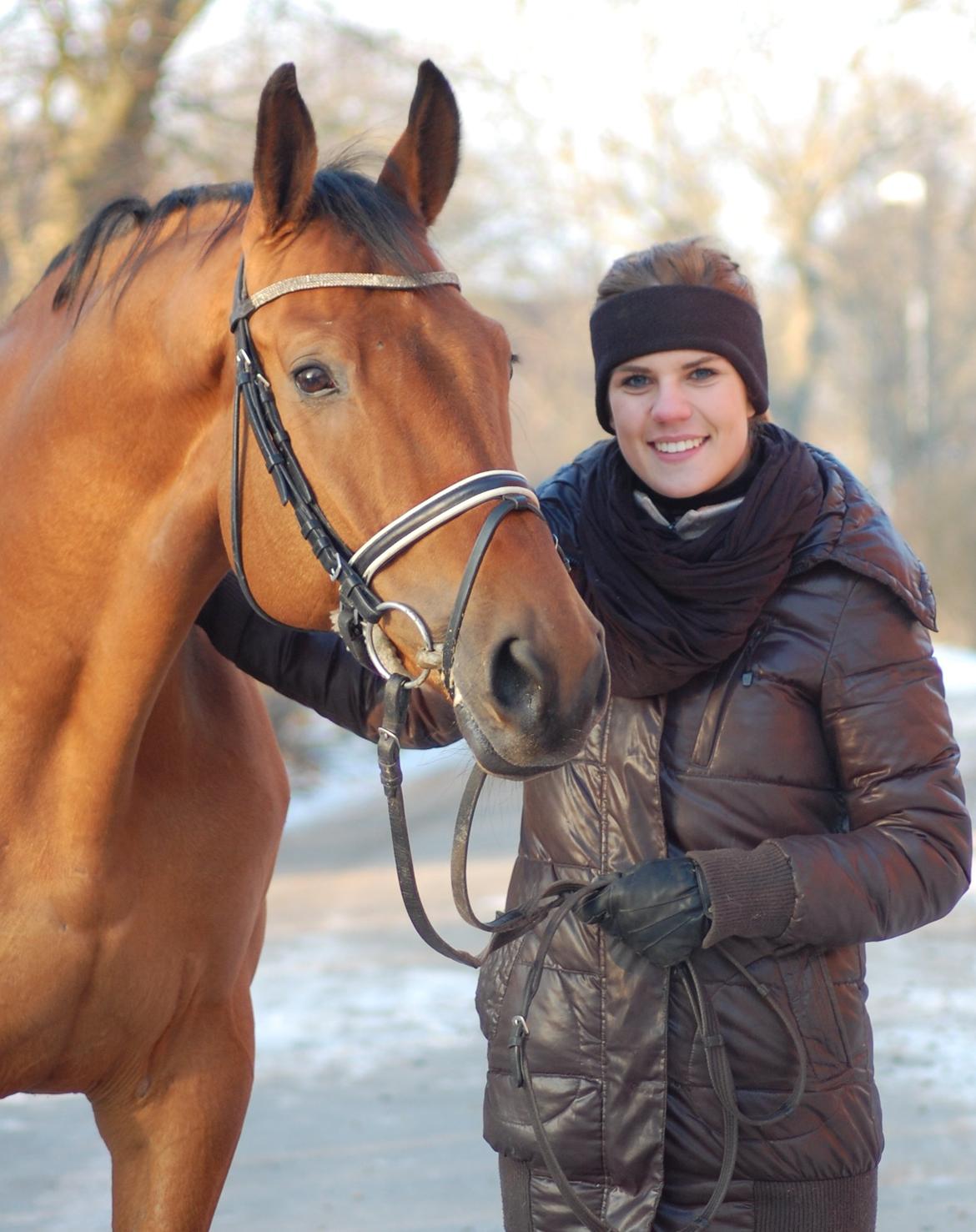 Dansk Varmblod Flanigan billede 15