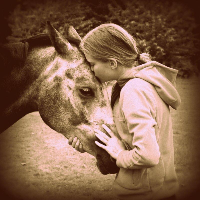 Anden særlig race sa tikki<3 Solgt & savnet - Vi to snakker ikke samme sprog, men du forstår alligevel når jeg siger 'jeg elsker dig!' <3 billede 2