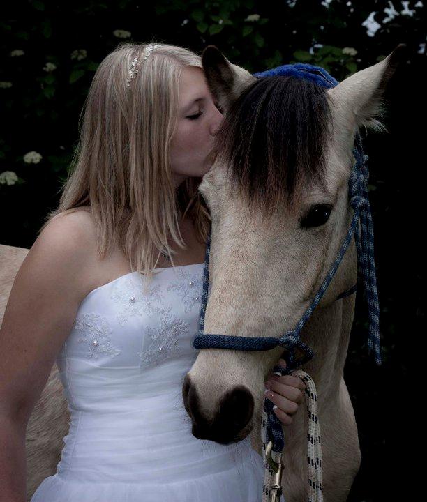 Anden særlig race Poppelgårdens Don - Min konfirmation d.15.5.2011 billede 2